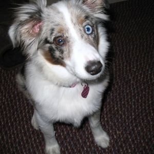 Meet your Posher, Marie